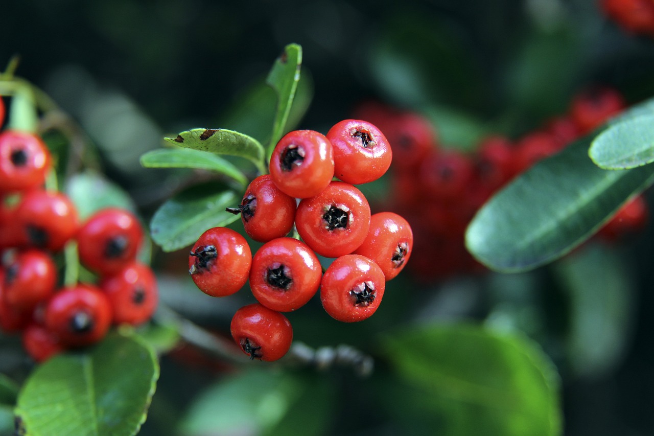 来构建排名 来构建排名