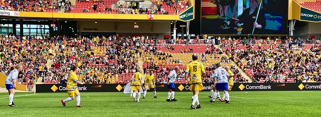 共同探索奥 共同探索奥