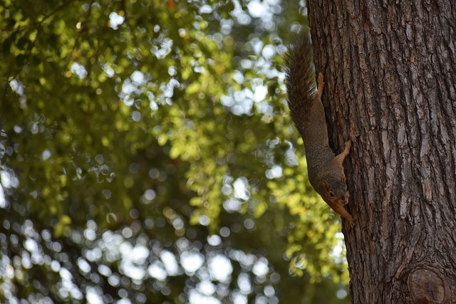 这种情况对 这种情况对
