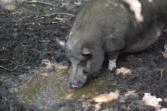 引发了广泛 引发了广泛