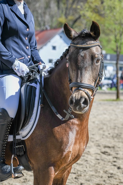 民的日常生 民的日常生