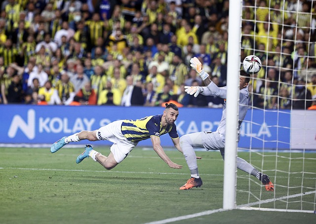 的反应和调 的反应和调