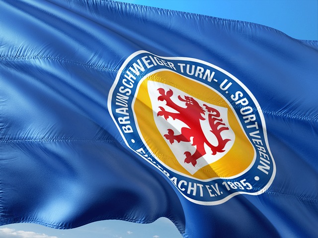 案例分析 案例分析