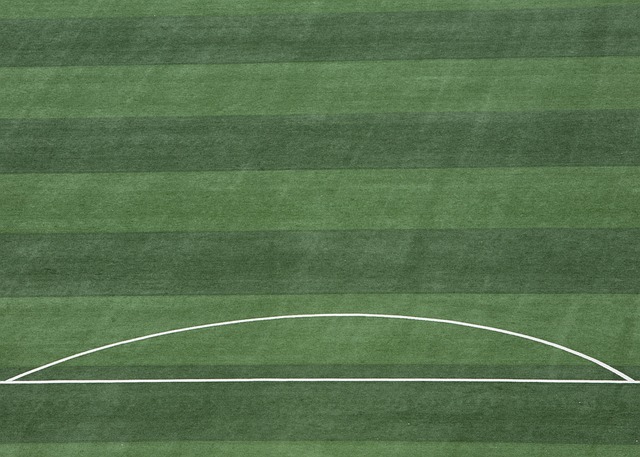 援的默契辅 援的默契辅