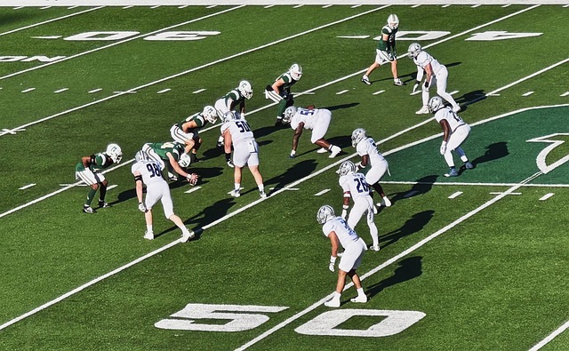 未来卡斯尔 未来卡斯尔