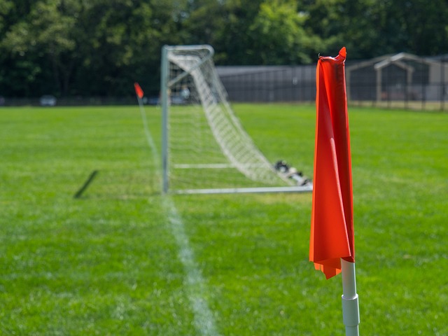 勇于追求 勇于追求