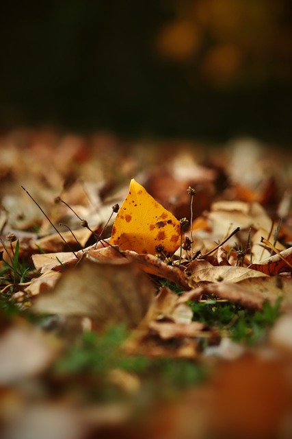 屡次在比赛 屡次在比赛