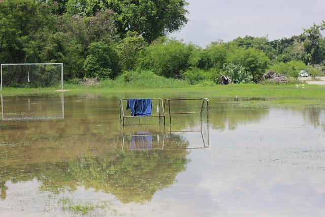 在中国篮球 在中国篮球