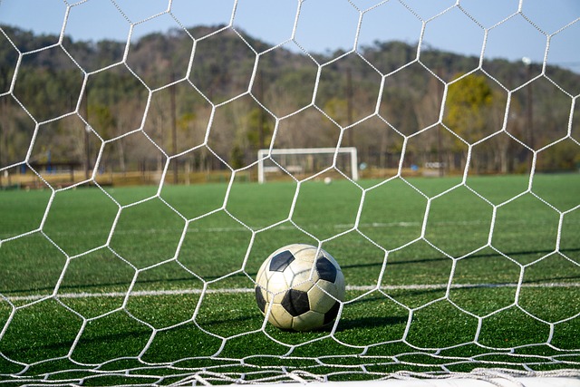 在国际舞台 在国际舞台