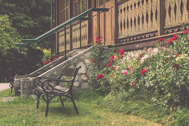 新奥运周期 新奥运周期