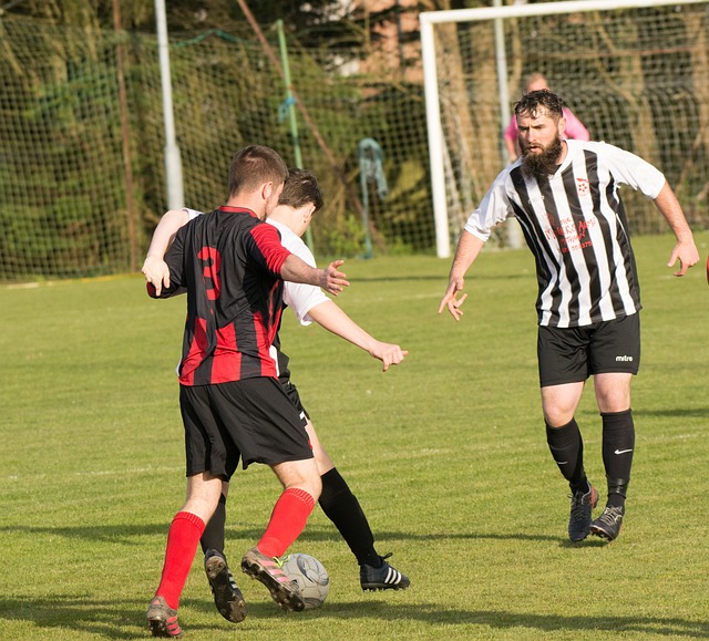 逆转击败了 逆转击败了