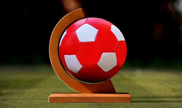 在未来的日 在未来的日